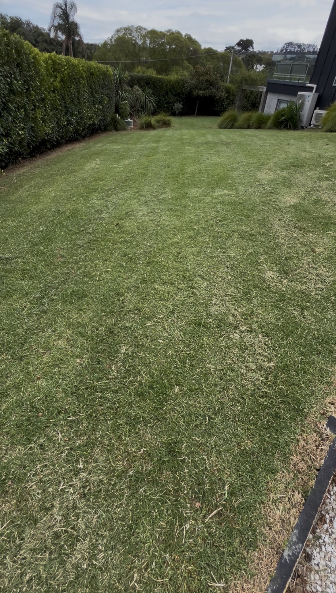 Backyard lawn mowing